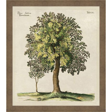 Purus Sativa-Wendover-WEND-29205-Wall Art-1-France and Son
