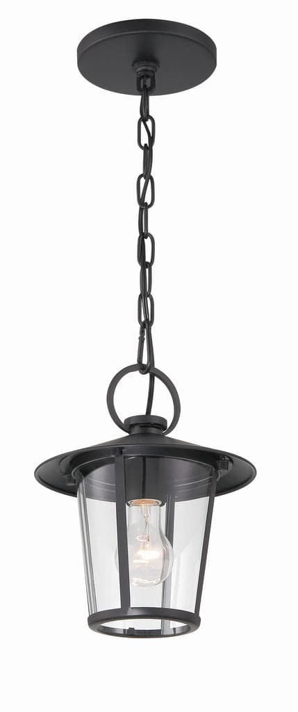 Andover 1 Light Matte Black Outdoor Chandelier-Crystorama Lighting Company-CRYSTO-AND-9203-CL-MK-Outdoor Chandeliers-1-France and Son