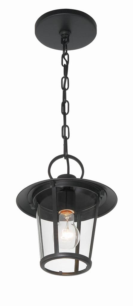 Andover 1 Light Matte Black Outdoor Chandelier-Crystorama Lighting Company-CRYSTO-AND-9203-CL-MK-Outdoor Chandeliers-1-France and Son
