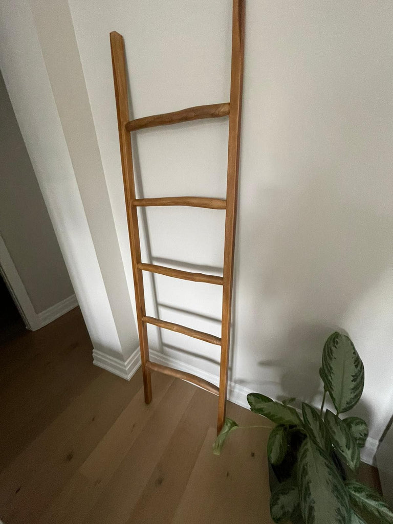 Jordanne Teak Ladder-France & Son-FL9031-Decor-1-France and Son