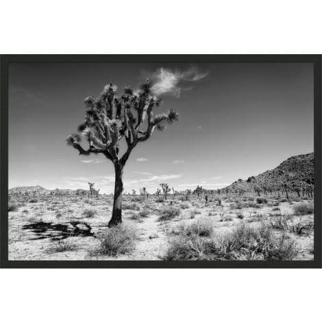 Joshua Tree-Wendover-WEND-CK0542-Wall Art-1-France and Son