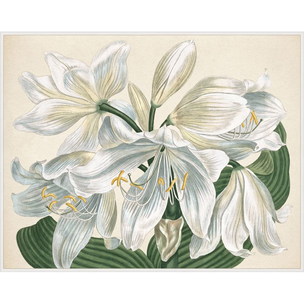 White Blooms-Wendover-WEND-LA2340-Wall Art1-1-France and Son