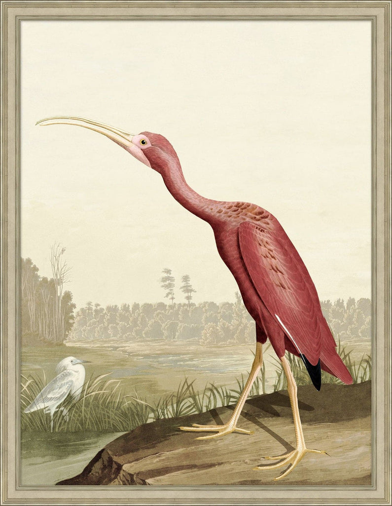 Audubon Ibis-Wendover-WEND-WCL2863-Wall Art1-1-France and Son