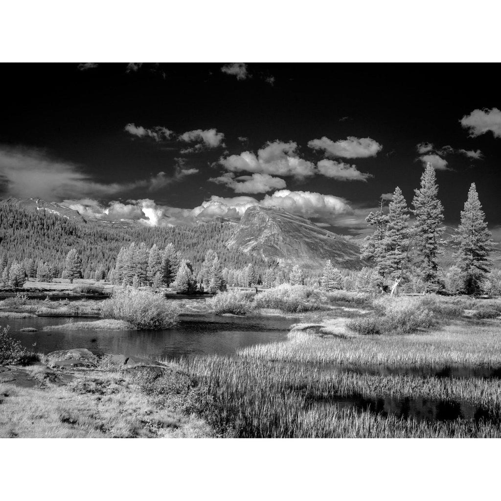 Yosemite Landscape-Wendover-WEND-WPH1066-Wall Art1-1-France and Son