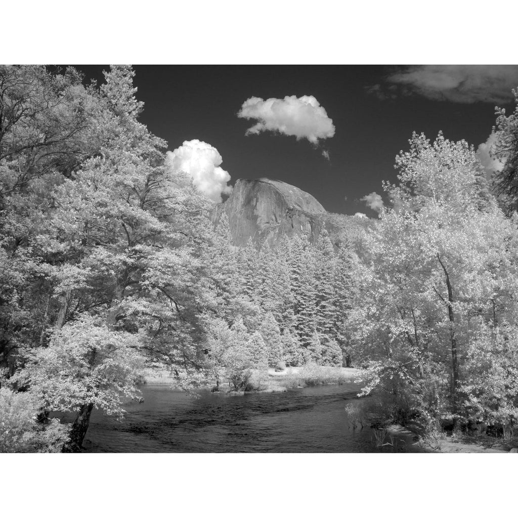 Yosemite Landscape-Wendover-WEND-WPH1066-Wall Art1-1-France and Son