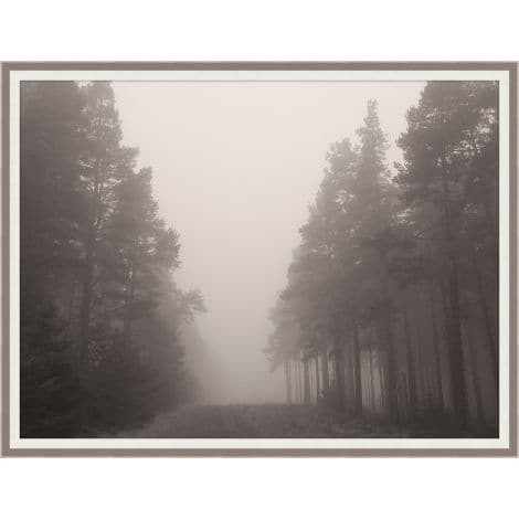 Forest Fog-Wendover-WEND-WPH1160-Wall Art-1-France and Son