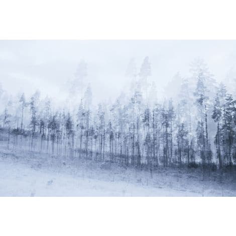 Winter Trees-Wendover-WEND-WPH1164-Wall Art-1-France and Son