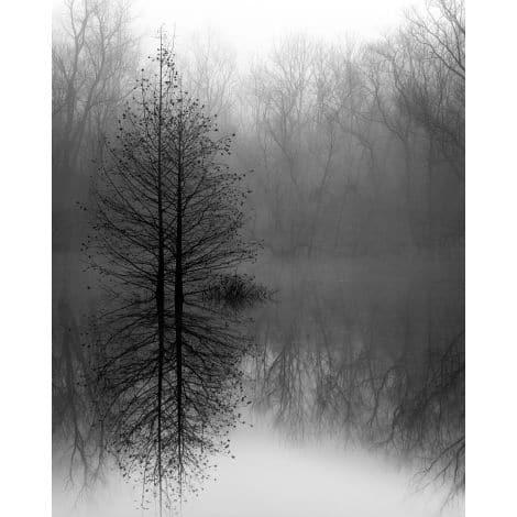 Lake Trees in Fog-Wendover-WEND-WPH1605-Wall Art-1-France and Son