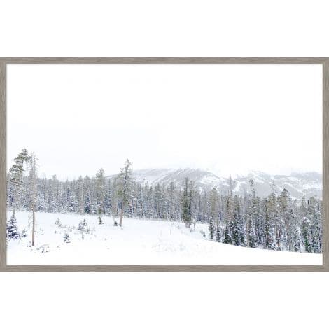 Winter White-Wendover-WEND-WTFH1048-Wall Art1-1-France and Son