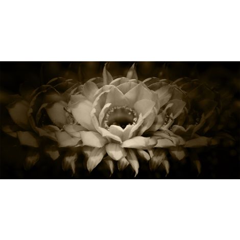 Sepia Petals 2-Wendover-WEND-WTUR0200-Wall Art-1-France and Son