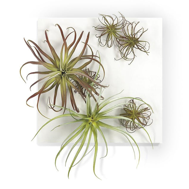 Substrate Wall Play - 4.5"TH-Gold Leaf Design Group-GOLDL-HY7917-Wall DecorTillandsia Mix on White-4-France and Son